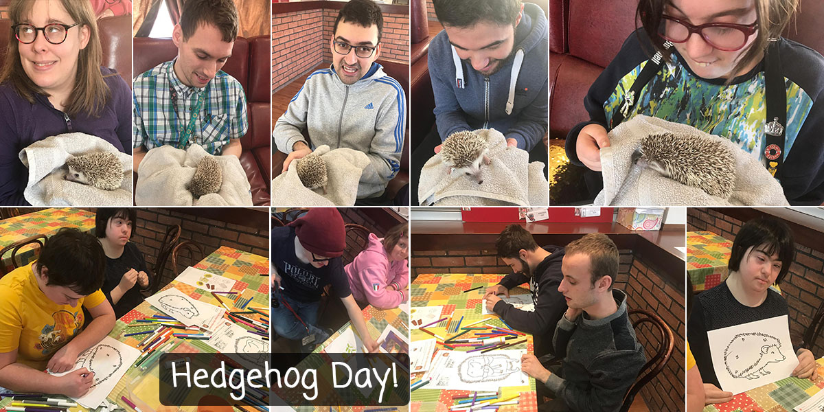 Hedgehog Day